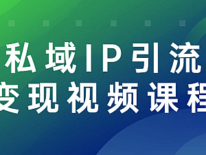 【引流课程】私域IP引流变现视频课程