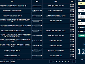 【网站源码】地区商户信息查询工具HTML源码
